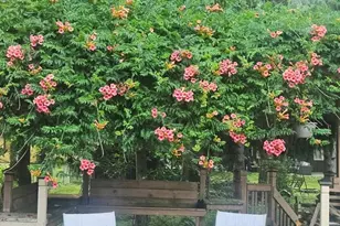 5743 Mills Creek Ln, North Ridgeville, OH 44039 - Photo 43