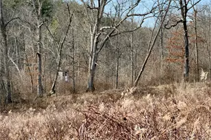 17377 Murphy Rd, Amesville, OH 45711 - Photo 11