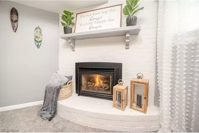 4103 Woodmere Drive, Youngstown, OH 44515 - Photo 27