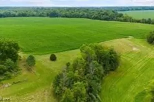 26479 State Route 58, Wellington, OH 44090 - Photo 11