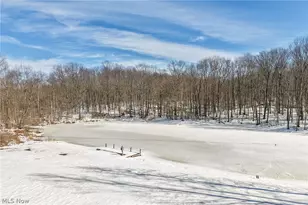 9419 Robinson Rd, Chardon, OH 44024 - Photo 39