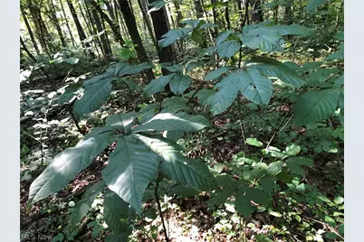 1475 St Rte 124, Coolville, OH 45723 - Photo 21