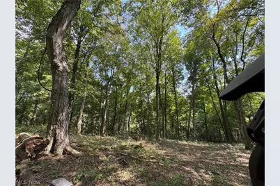 1475 St Rte 124, Coolville, OH 45723 - Photo 45