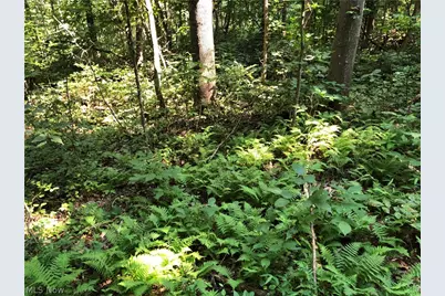 1475 St Rte 124, Coolville, OH 45723 - Photo 17