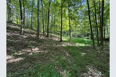 1475 St Rte 124, Coolville, OH 45723 - Photo 29