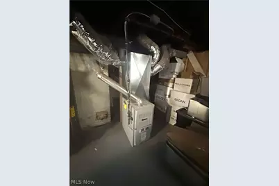 2007 Tate Avenue, Loveland, OH 44109 - Photo 17