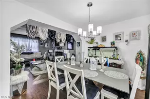 12500 Woodside Ave, Loveland, OH 44108 - Photo 19