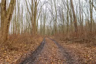 7389 Doylestown Rd, Sterling, OH 44276 - Photo 11