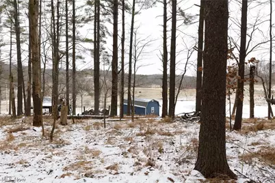 10170 N Morrison Road, Dresden, OH 43821 - Photo 31