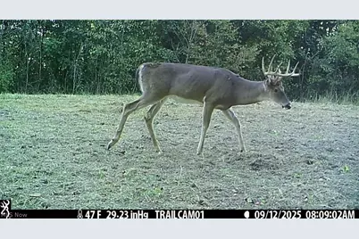 3800 E Darlington Road, Zanesville, OH 43701 - Photo 49