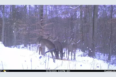 3800 E Darlington Road, Zanesville, OH 43701 - Photo 21