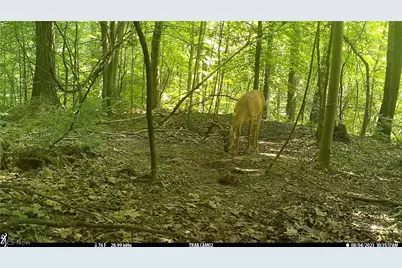 3800 E Darlington Road, Zanesville, OH 43701 - Photo 25