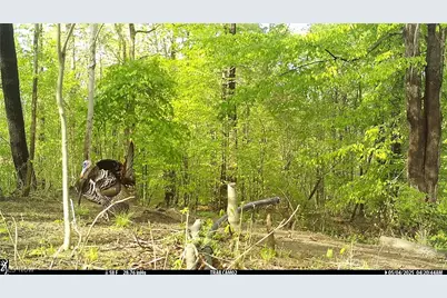 3800 E Darlington Road, Zanesville, OH 43701 - Photo 27