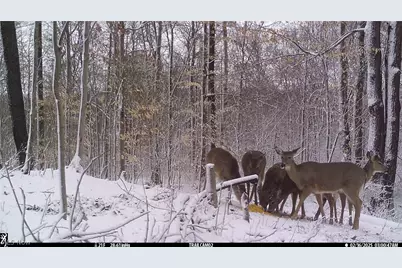 3800 E Darlington Road, Zanesville, OH 43701 - Photo 23