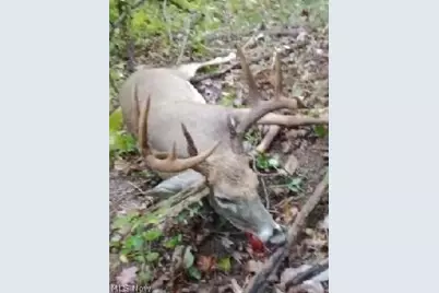 3800 E Darlington Road, Zanesville, OH 43701 - Photo 3