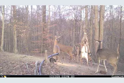 3800 E Darlington Road, Zanesville, OH 43701 - Photo 19