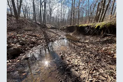 Ridgeview Lane, Blue Rock, OH 43727 - Photo 9