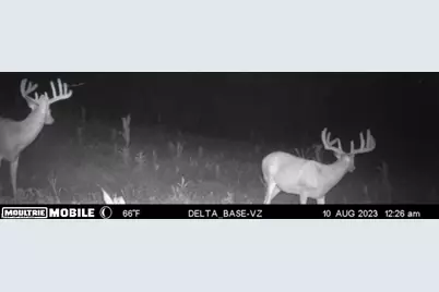 Ridgeview Lane, Blue Rock, OH 43727 - Photo 37