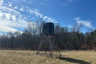 Ridgeview Ln, Blue Rock, OH 43727 - Photo 1