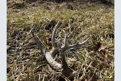 Ridgeview Lane, Blue Rock, OH 43727 - Photo 21