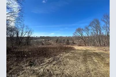 Ridgeview Lane, Blue Rock, OH 43727 - Photo 29