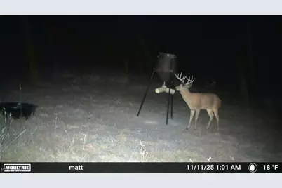 Ridgeview Lane, Blue Rock, OH 43727 - Photo 33