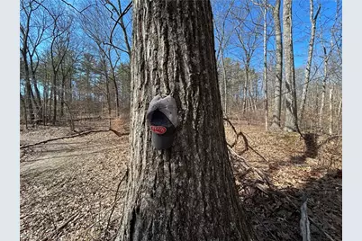 Ridgeview Lane, Blue Rock, OH 43727 - Photo 13