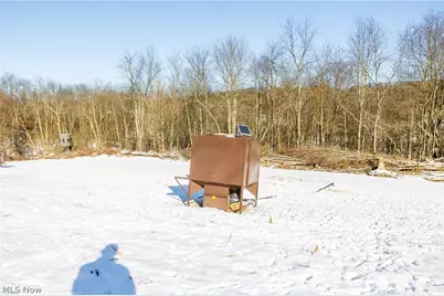 Ne Avon Road, Carrollton, OH 44615 - Photo 21