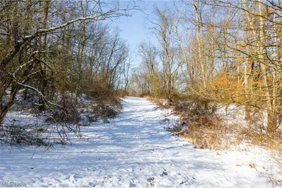 Ne Avon Road, Carrollton, OH 44615 - Photo 27