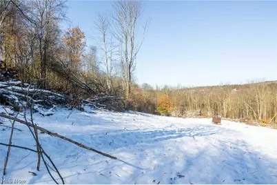 Ne Avon Road, Carrollton, OH 44615 - Photo 25