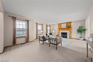 7347 Meadowhaven Dr, Chippewa Lake, OH 44215 - Photo 7