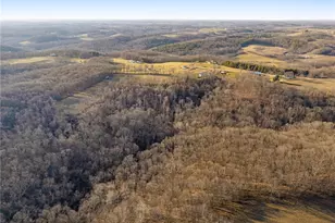 3188 Amsterdam Rd SE, Scio, OH 43988 - Photo 41