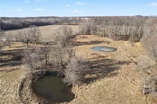 4530 W Middletown Rd, Canfield, OH 44406 - Photo 43