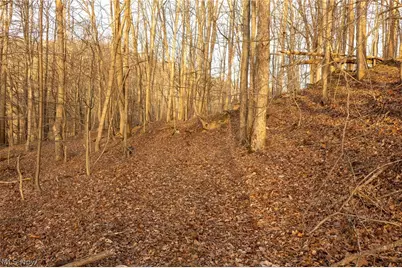 32290 Bailey Run Road, Pomeroy, OH 45769 - Photo 5