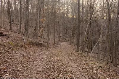 32290 Bailey Run Road, Pomeroy, OH 45769 - Photo 25