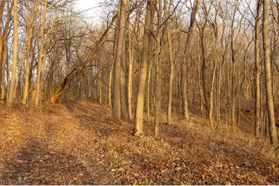 32290 Bailey Run Road, Pomeroy, OH 45769 - Photo 11