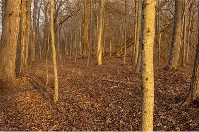 32290 Bailey Run Road, Pomeroy, OH 45769 - Photo 13