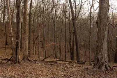 32290 Bailey Run Road, Pomeroy, OH 45769 - Photo 21