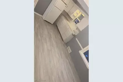 16705 Hillsboro Road, Loveland, OH 44112 - Photo 3