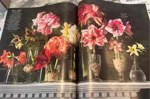 374 Tenney Ave, Youngstown, OH 44405 - Photo 15