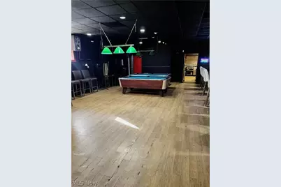 561 Seiberling Street, Akron, OH 44306 - Photo 13