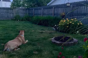 119 Cornell Ave, Elyria, OH 44035 - Photo 5