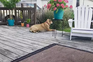 119 Cornell Ave, Elyria, OH 44035 - Photo 7