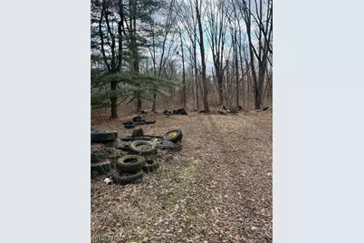 6223 Wayland Road, Ravenna, OH 44266 - Photo 43