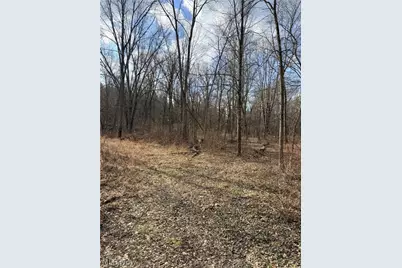 6223 Wayland Road, Ravenna, OH 44266 - Photo 49