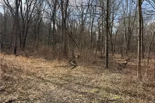 6223 Wayland Rd, Ravenna, OH 44266 - Photo 49