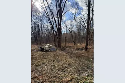 6223 Wayland Road, Ravenna, OH 44266 - Photo 47