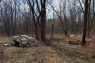 6223 Wayland Rd, Ravenna, OH 44266 - Photo 47