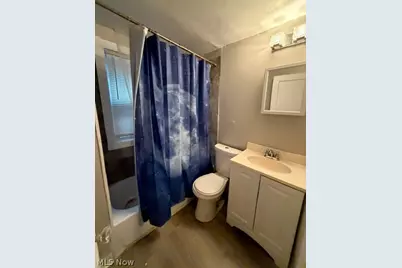 11304 Forest Avenue, Loveland, OH 44104 - Photo 19