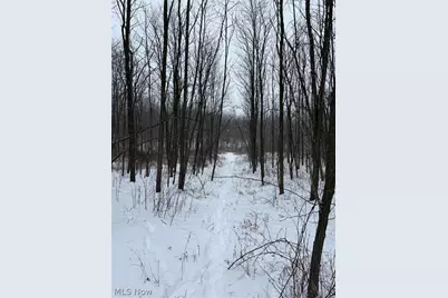 0 State Route 30 Street, Mansfield, OH 44907 - Photo 3